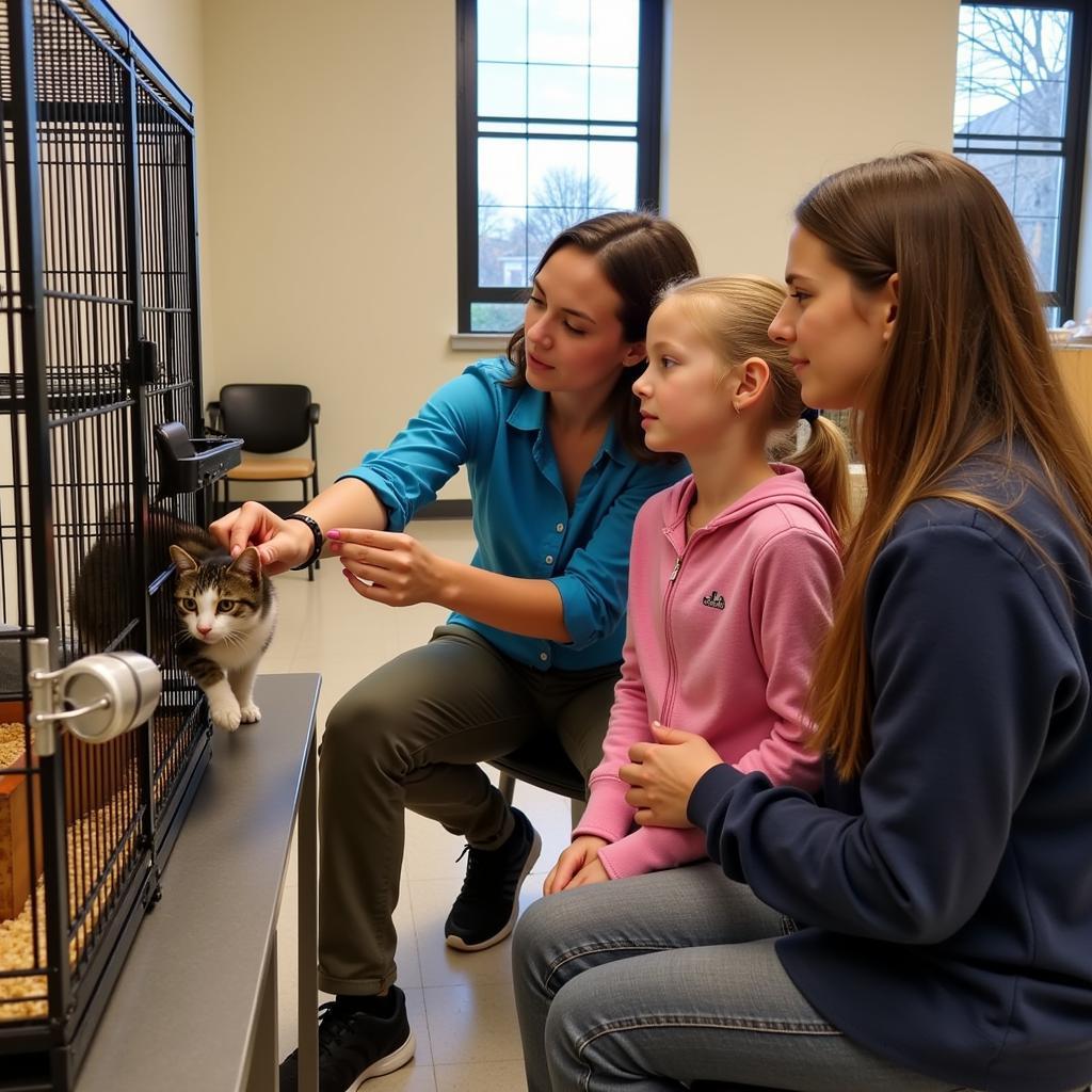 Adoption Counseling at Capital Humane Society