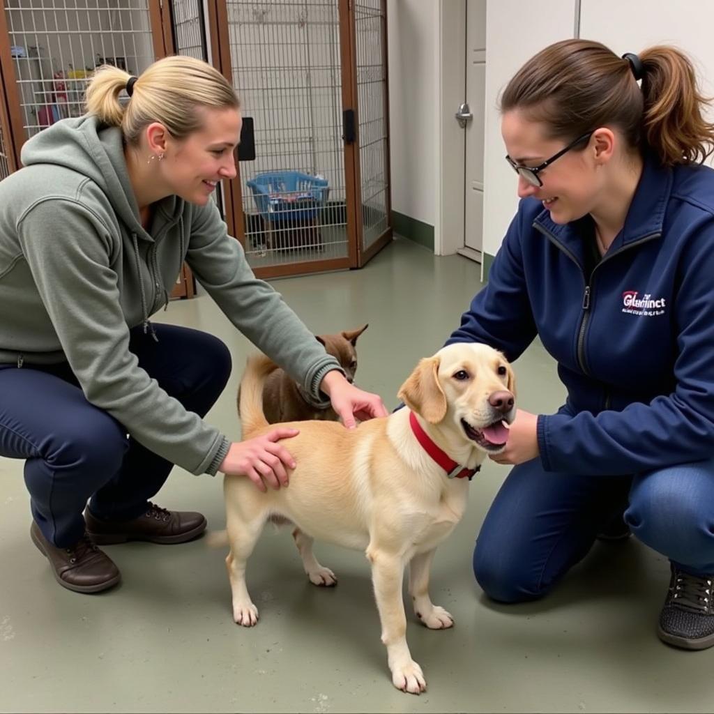 Volunteers at Caruthersville Humane Society