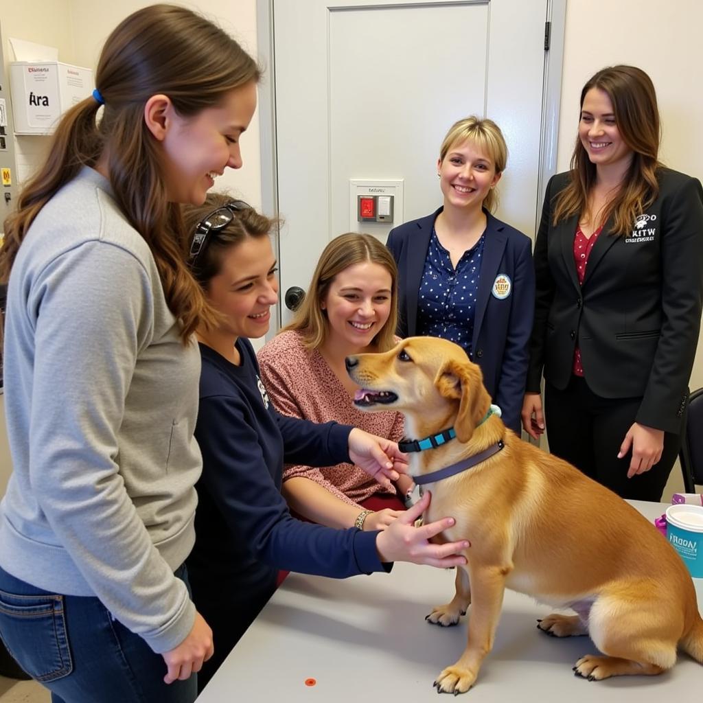 Successful adoption event at Charleston Animal Society