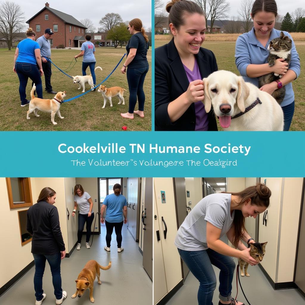 Volunteers at the Cookeville Humane Society