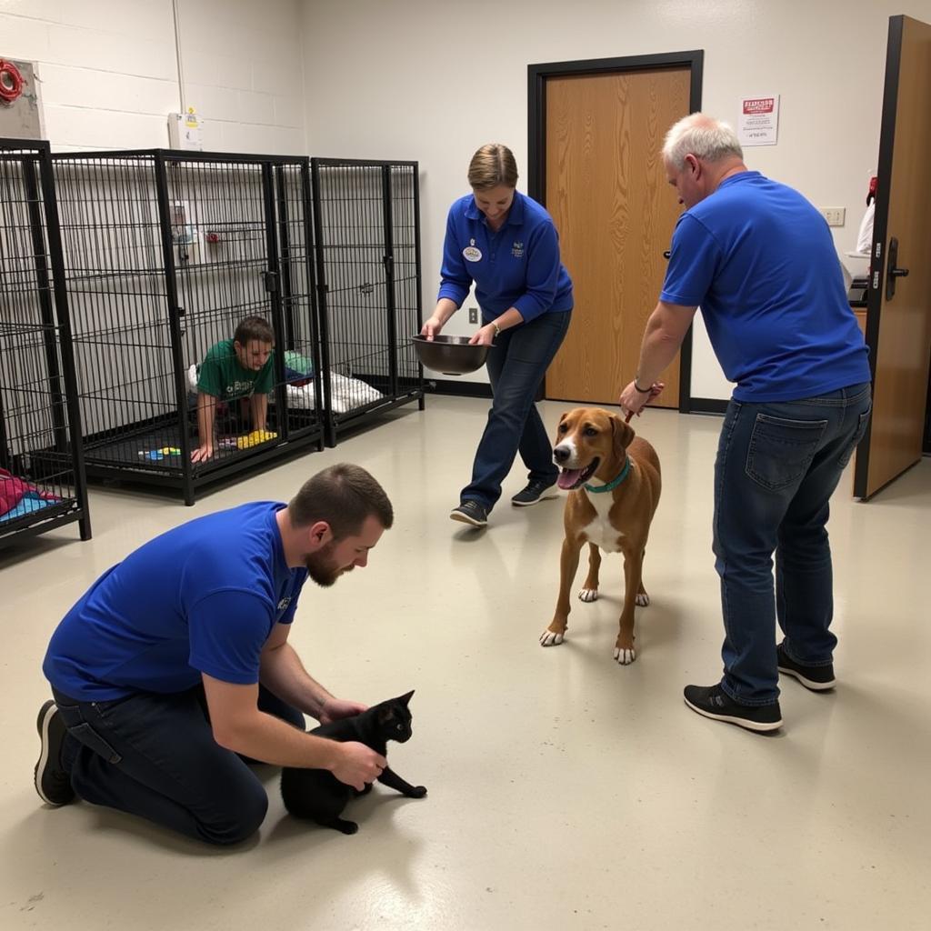 Volunteers at Des Moines County Humane Society