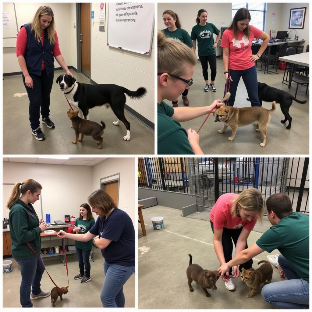 Volunteers at DeSoto County Humane Society