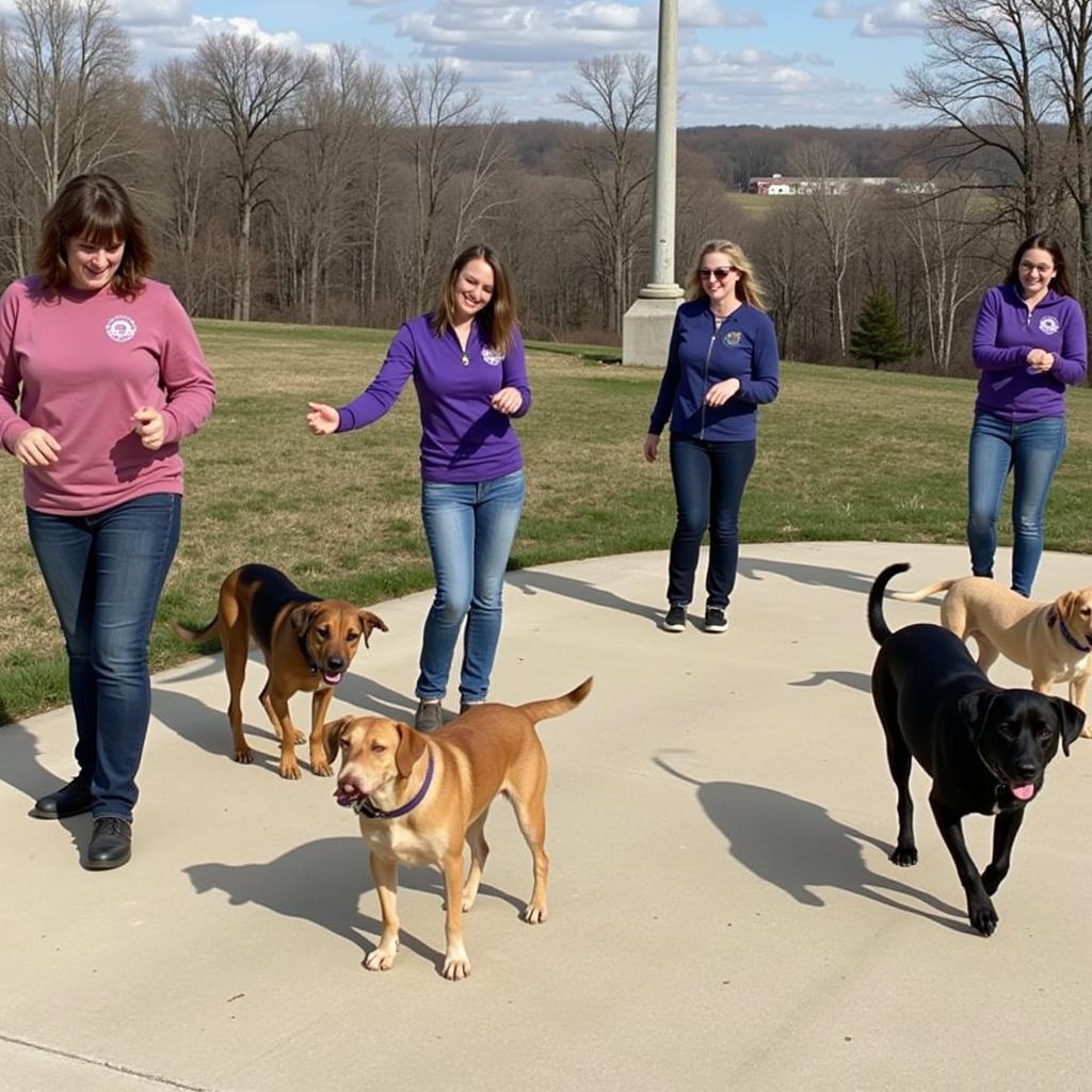 Dubuque County Humane Society Volunteers