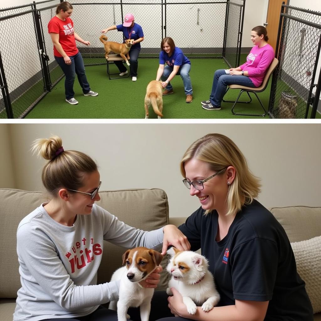 Volunteers interacting with animals at the Fergus Falls Humane Society