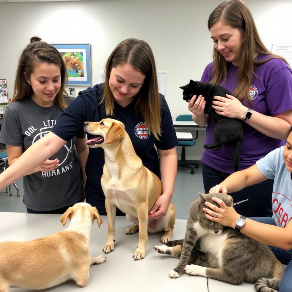 Volunteers Interacting with Animals at Forsyth Humane Society