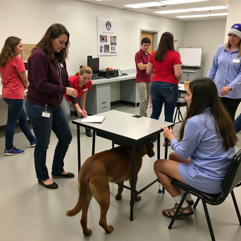 Volunteer Training at Hamilton County Humane Society