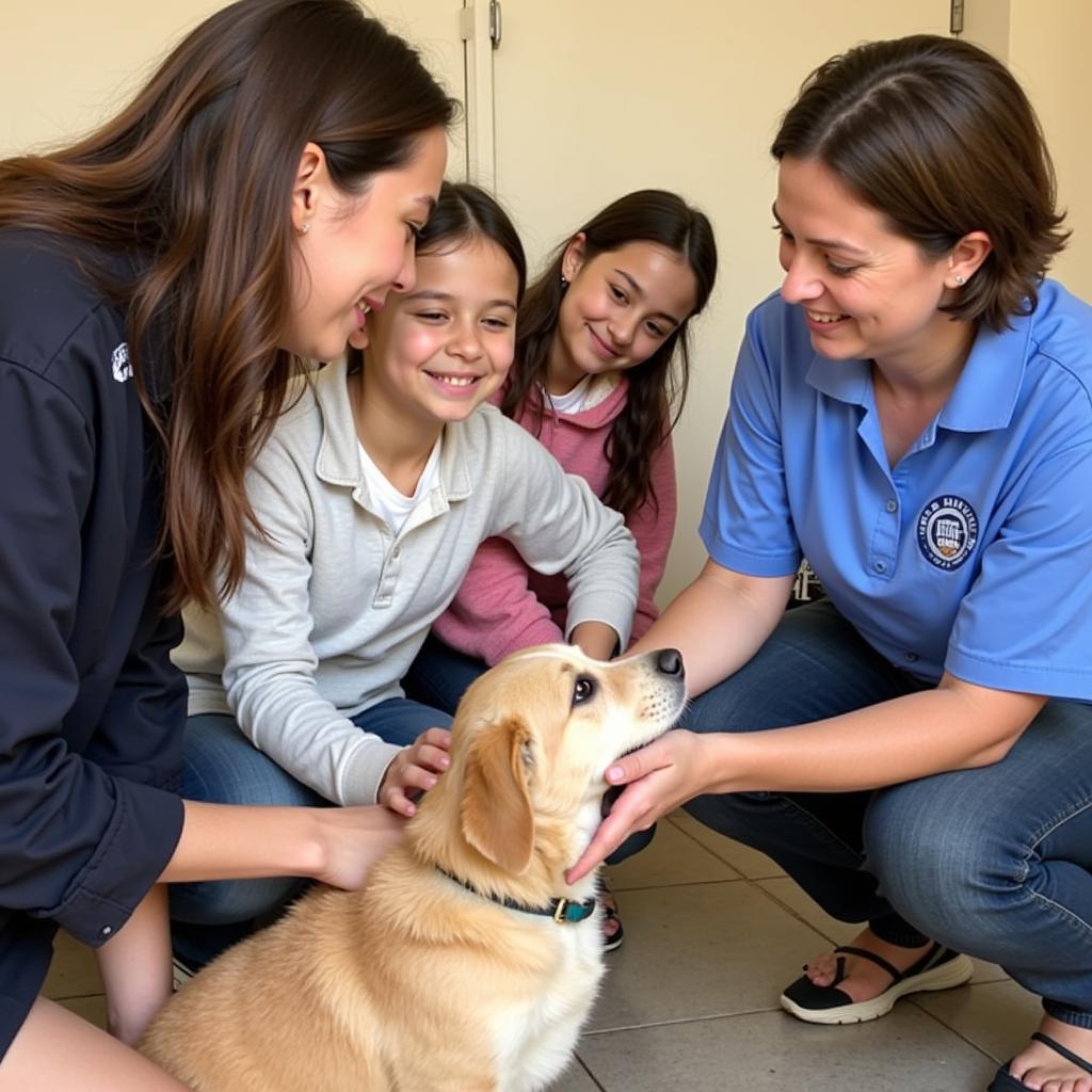 The adoption process at the Havasu Humane Society