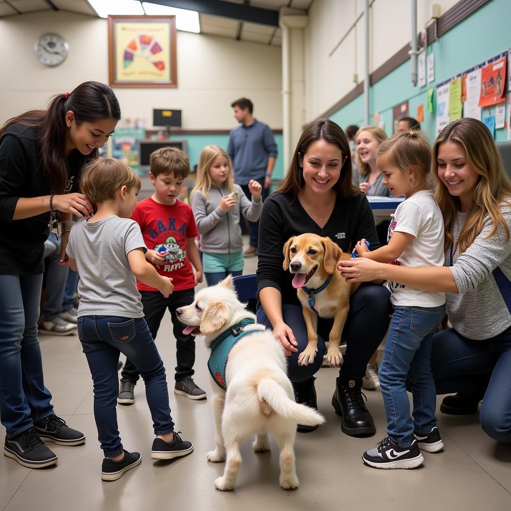 HAWS Waukesha Adoption Event Connecting Animals with Loving Homes