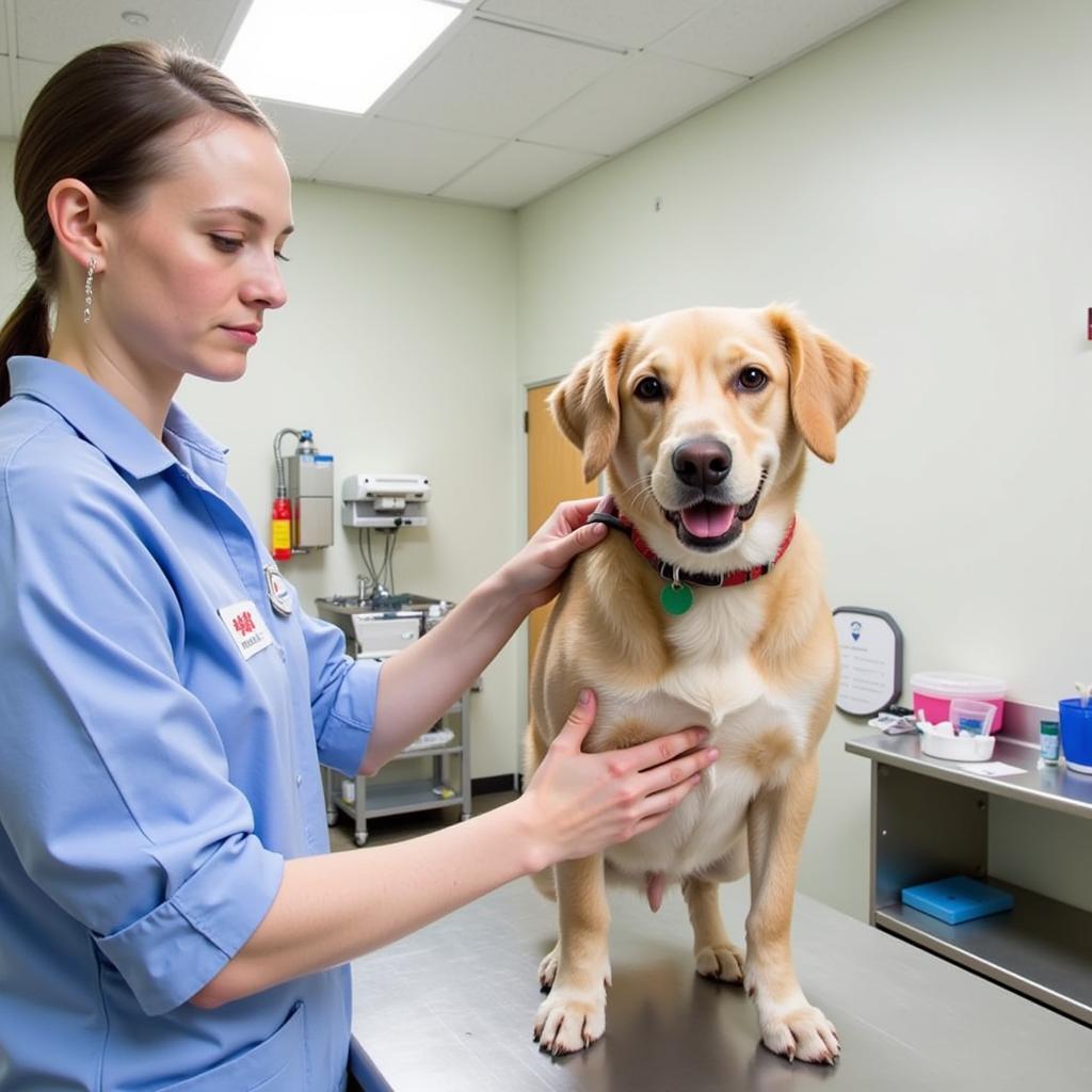 Humane Society Bellevue WA Vet Clinic