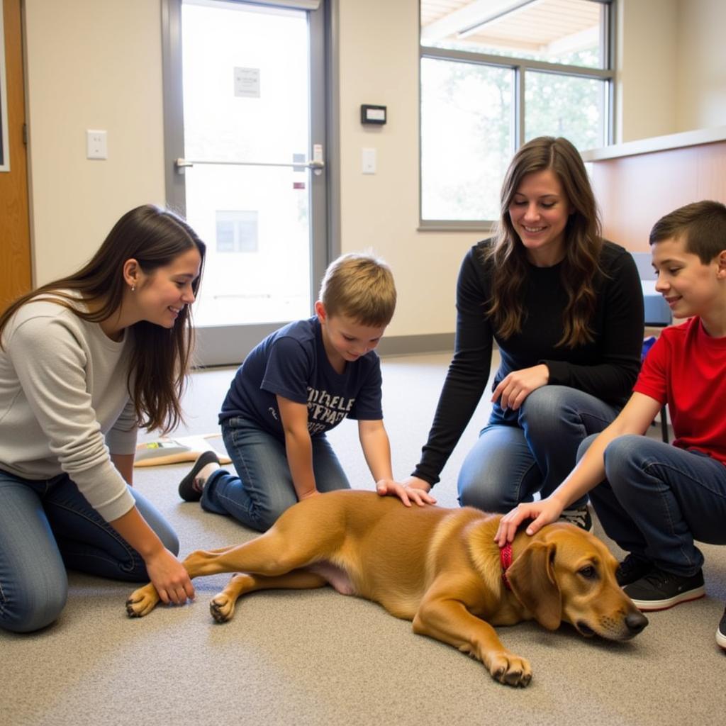 A family meeting a potential pet at the Humane Society of Blue Ridge Adoption Center