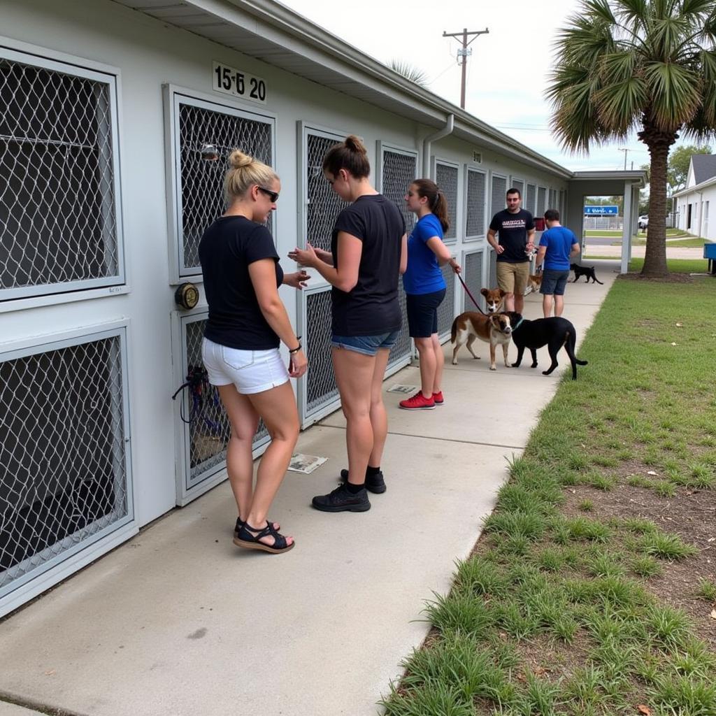 Humane Society Fort Walton Beach Volunteers