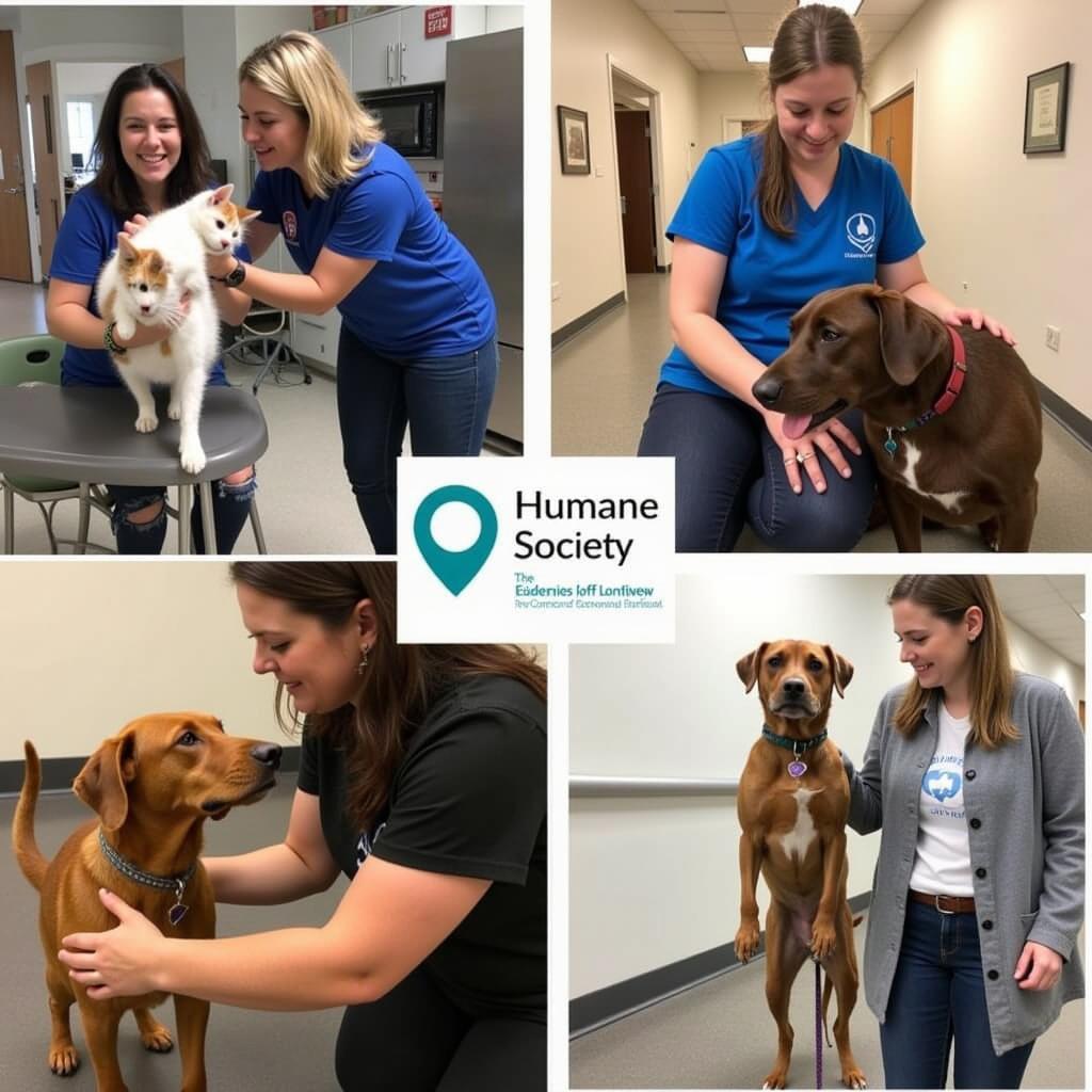 Volunteers at the Humane Society of Longmont