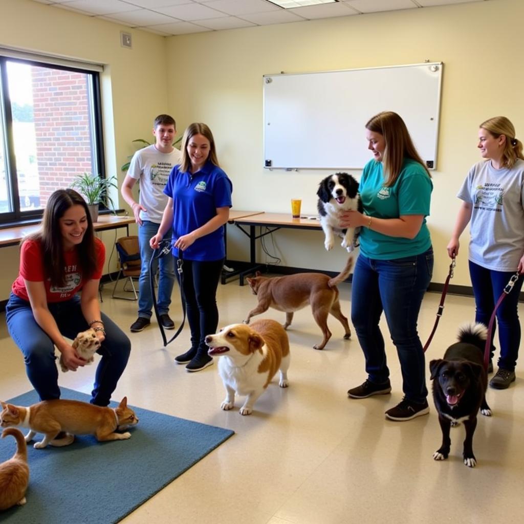 Humane Society of Platte Valley Volunteers