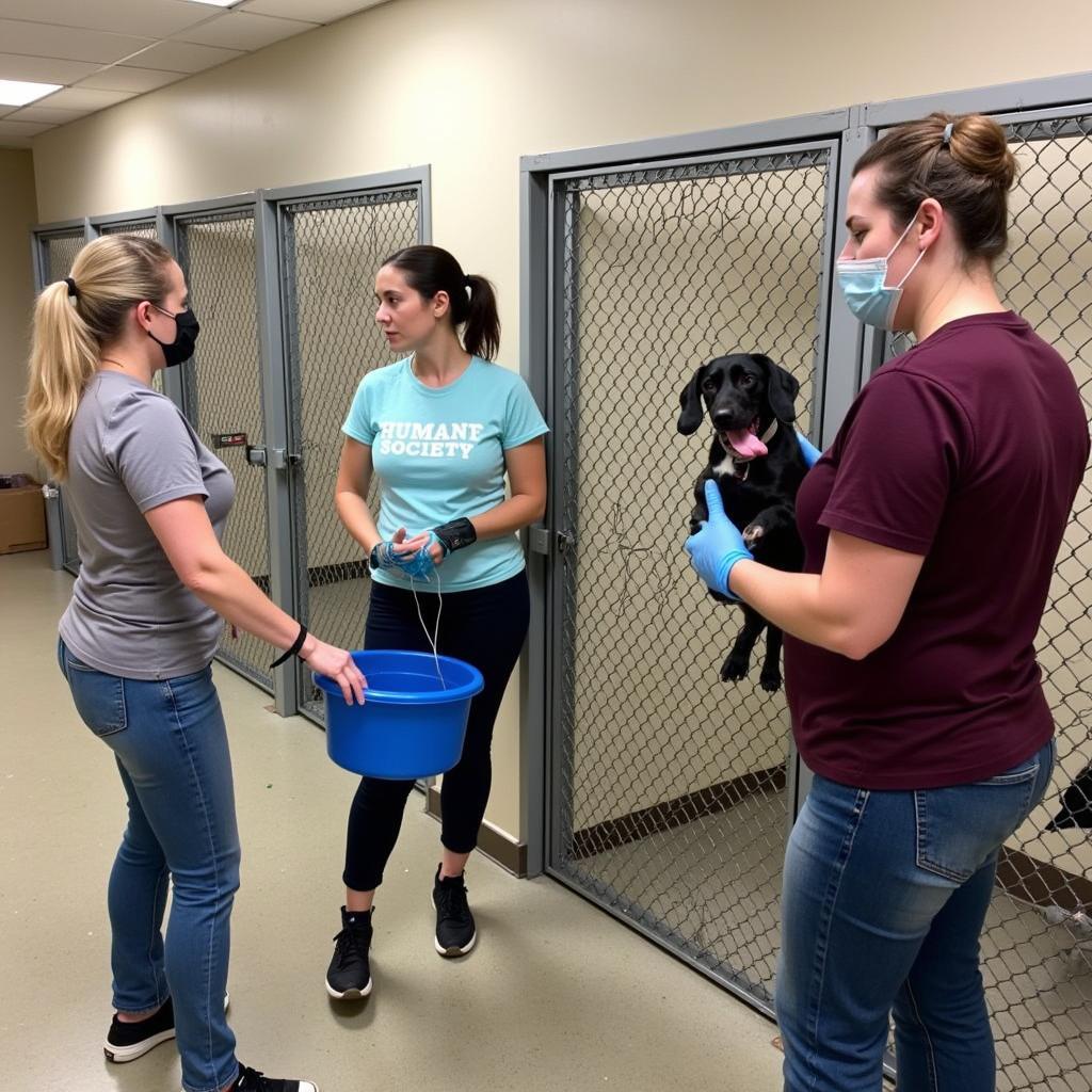 Humane Society Pleasantville NJ Volunteers Working