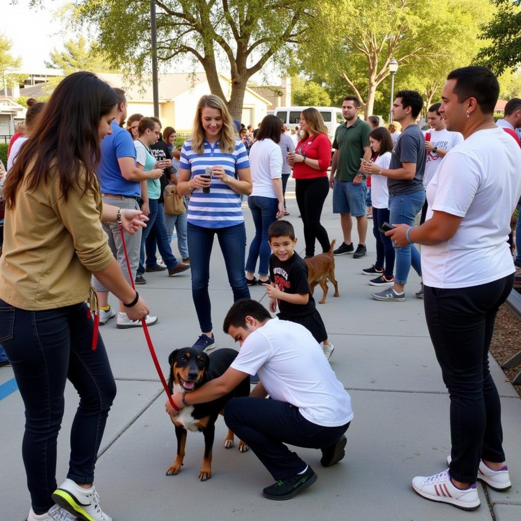 Adoption Event at the Humane Society