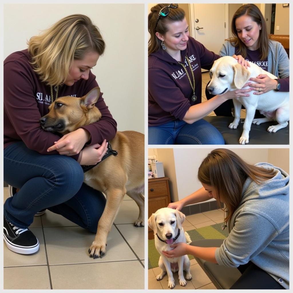 Animal Care at the Sedalia Humane Society