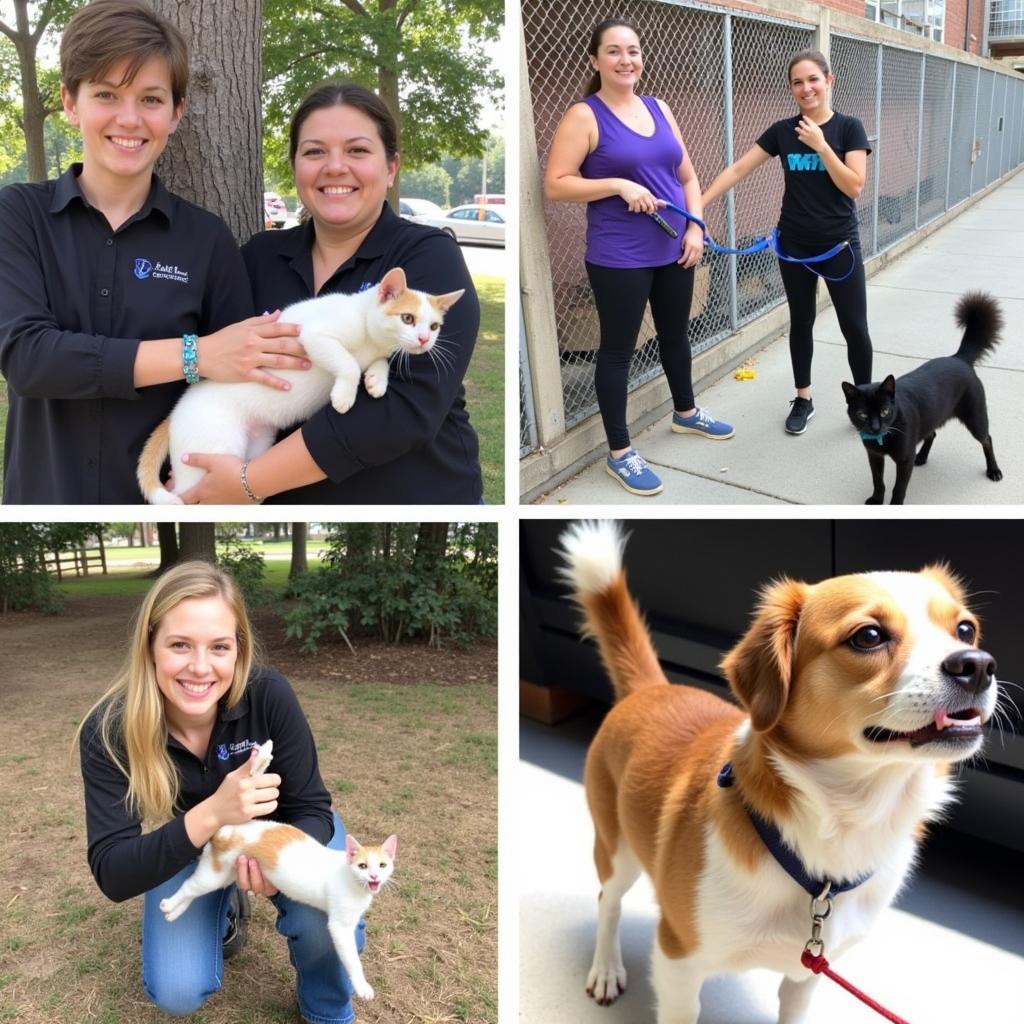 Volunteers at the Humane Society Seneca SC