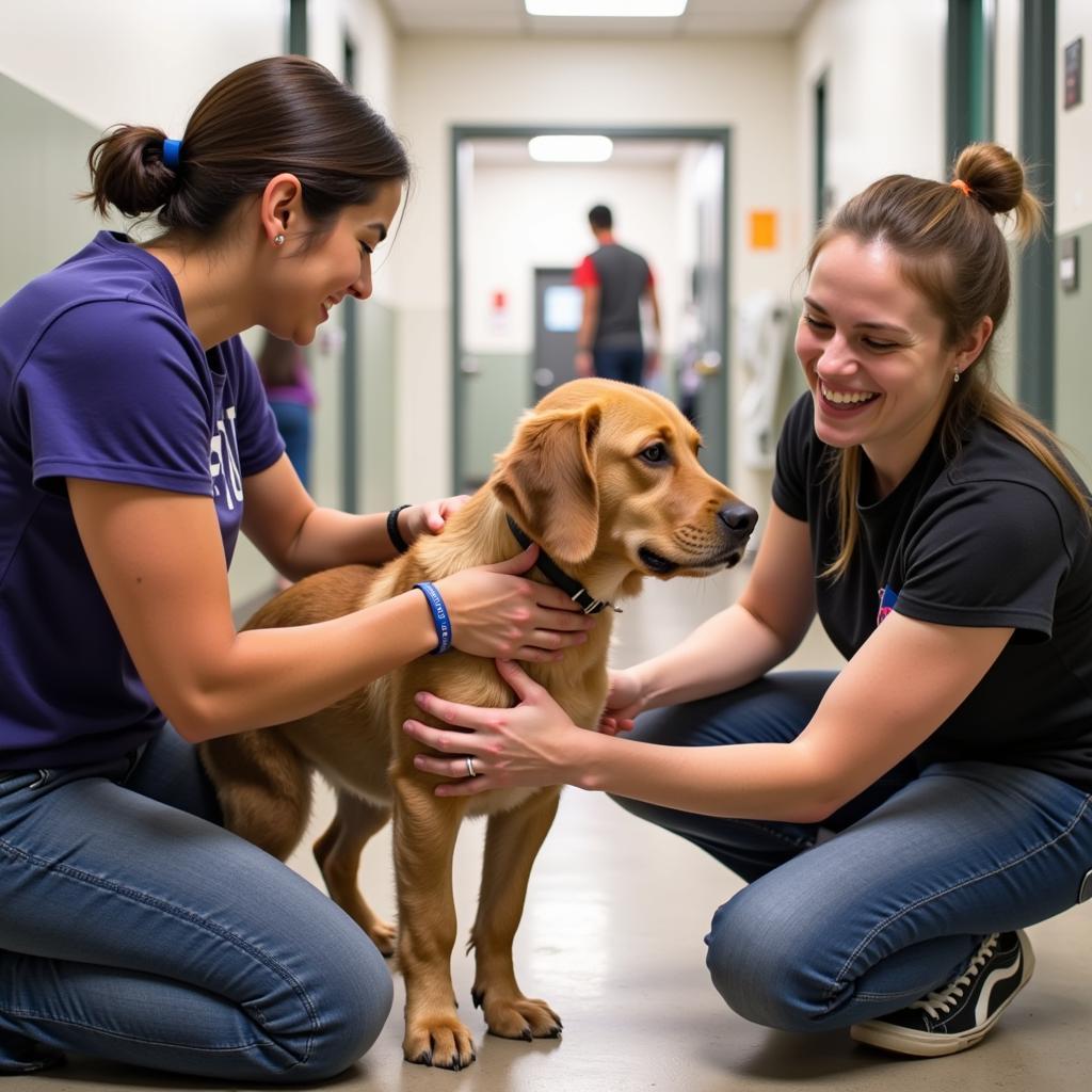 Humane Society Sonora Volunteers