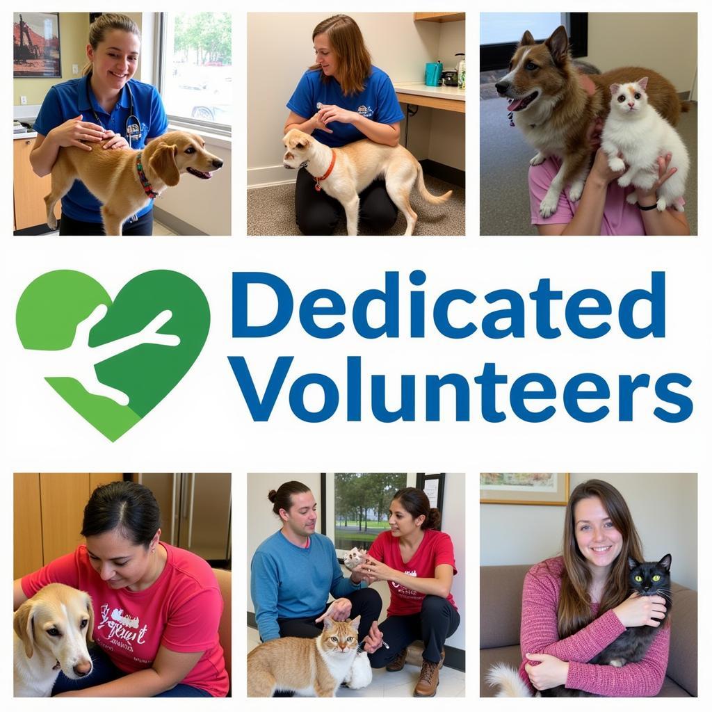 Volunteers interacting with animals at the Kirkland Humane Society.