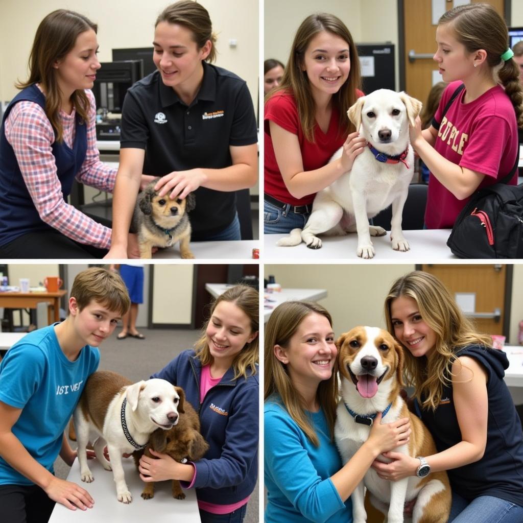 Lake City MI Humane Society Adoption Event