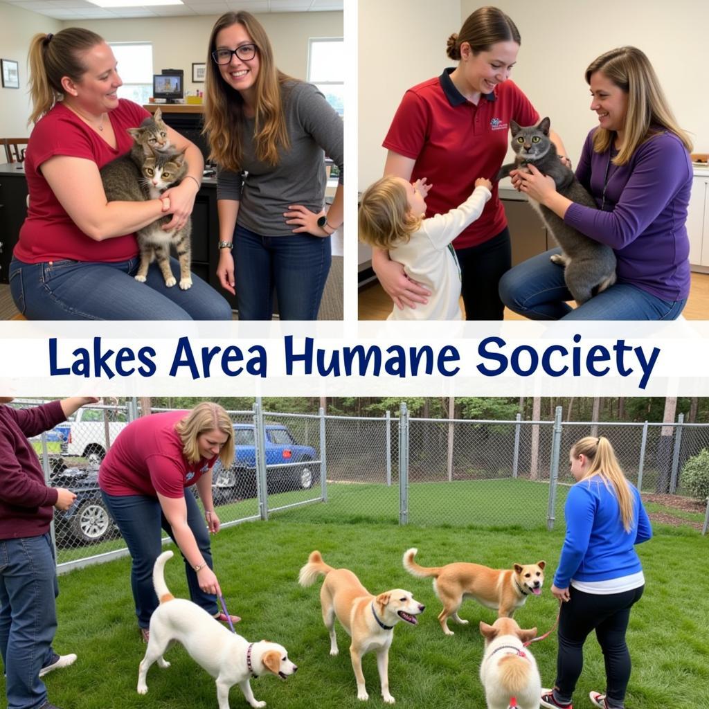 Volunteers playing with animals at the Lakes Area Humane Society.