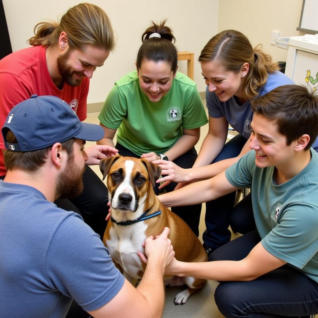  Lowell Humane Society Volunteering Review