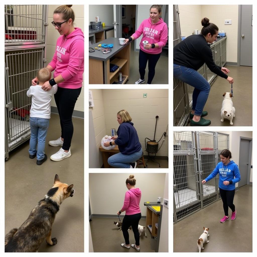 Macon County Humane Society Volunteers