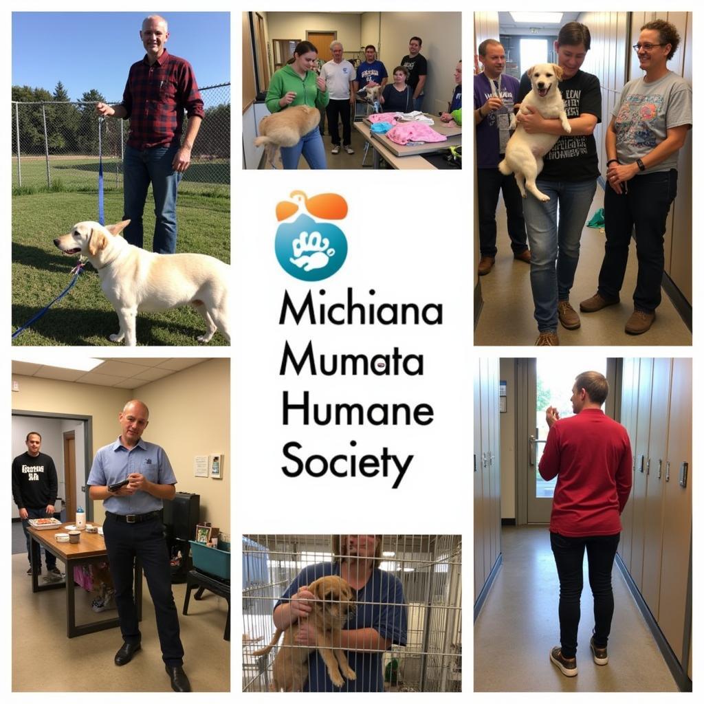 Volunteers at the Michiana Humane Society