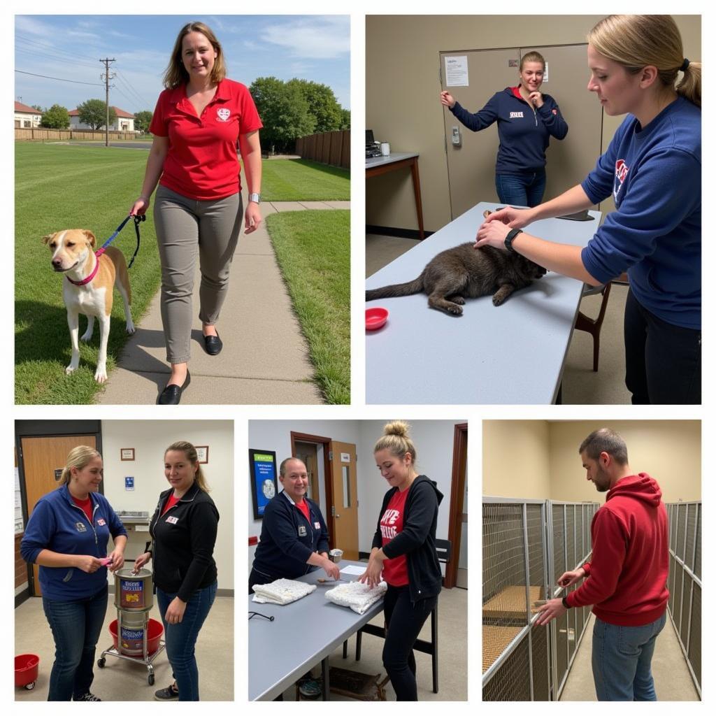 Morgan County Humane Society Volunteers in Action