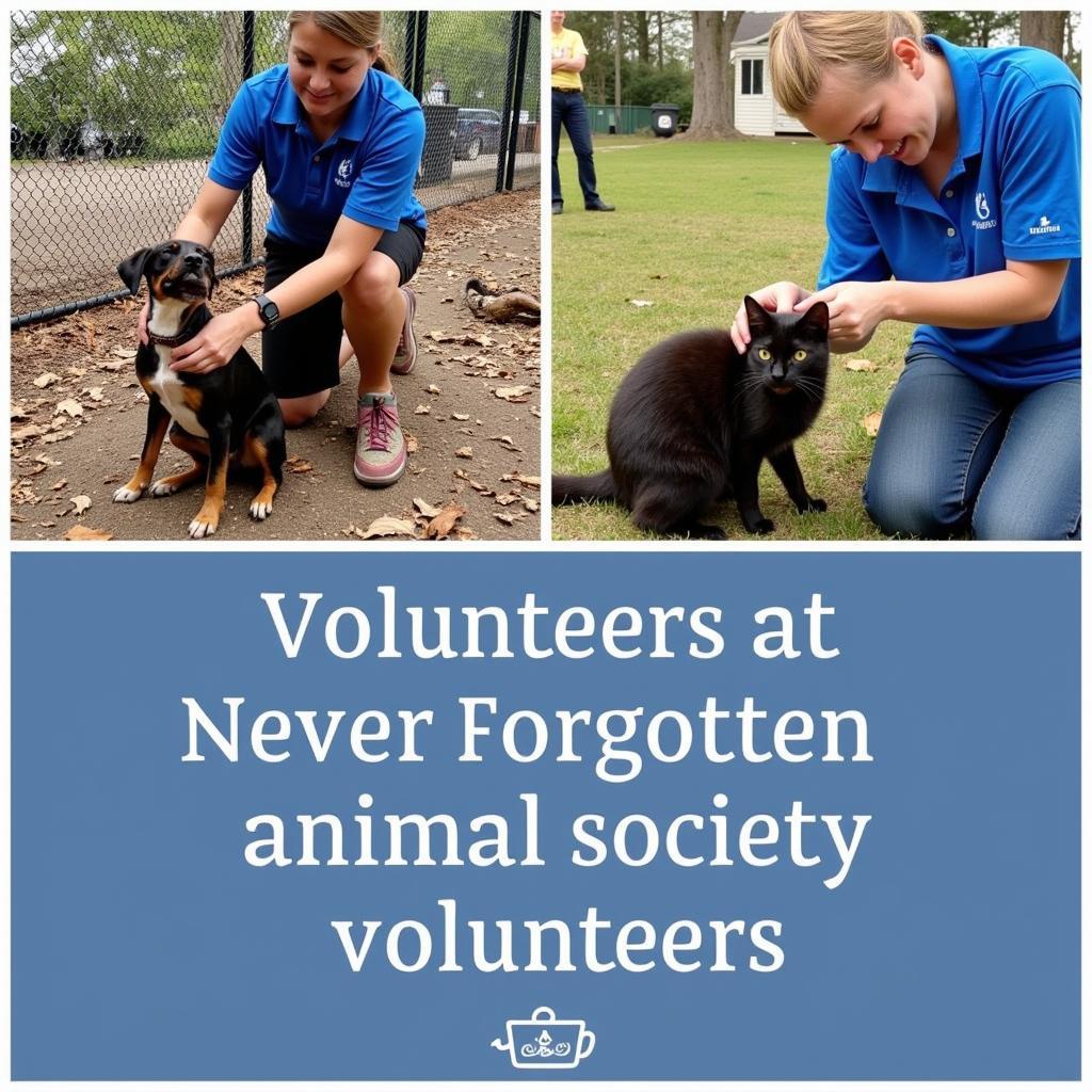 Volunteers Caring for Animals at Never Forgotten Animal Society