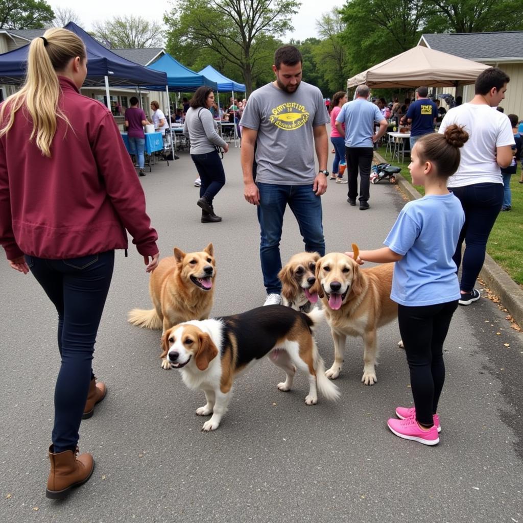 A successful adoption event at Palm Valley Animal Society helps connect animals with loving homes