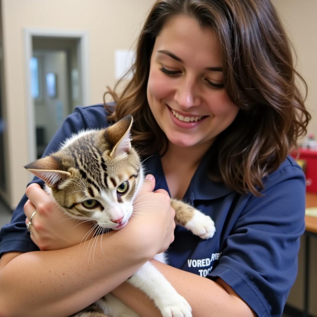 A volunteer gently holds a cat at the Panhandle Humane Society