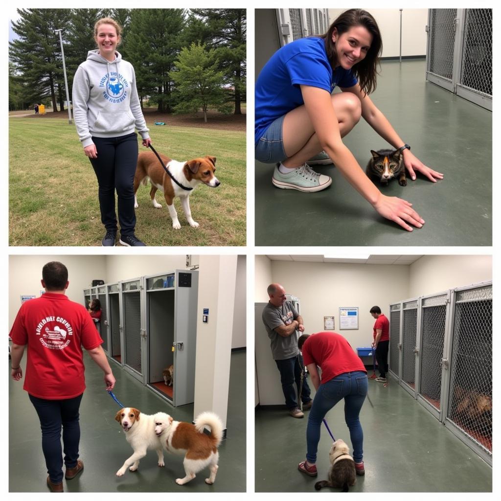 Volunteering at the Pope County Humane Society