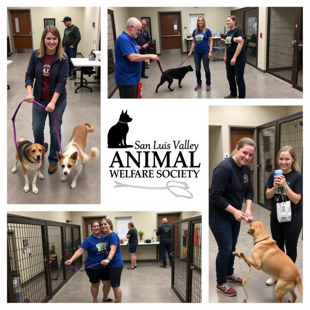 Volunteers caring for animals at the San Luis Valley Animal Welfare Society