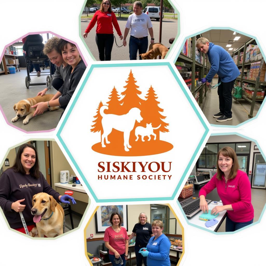 Volunteers at Siskiyou Humane Society