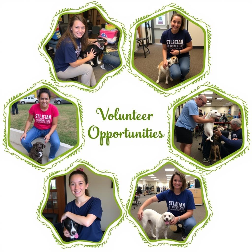 St. Joseph MO Humane Society Volunteering Opportunities