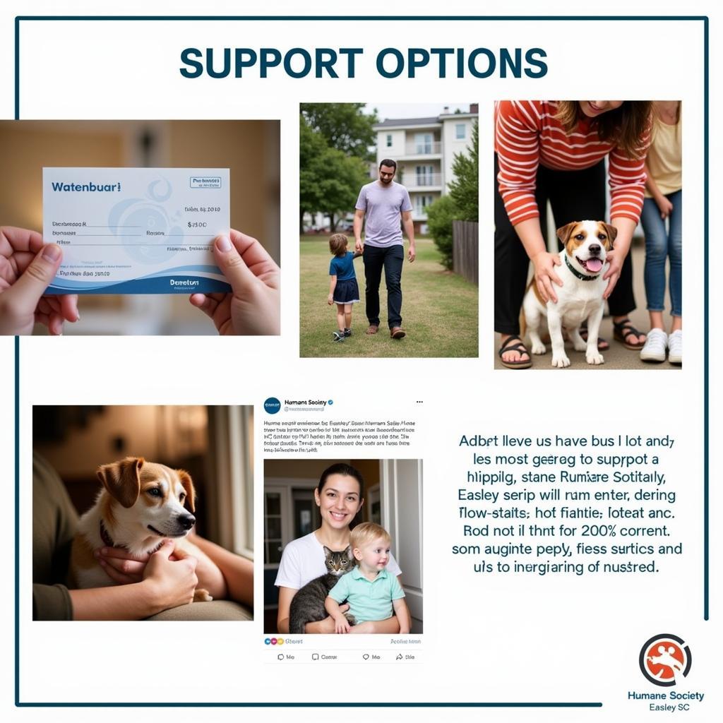 There are various ways to support the Humane Society Easley SC, including donations, volunteering, adopting, fostering, and spreading awareness. 