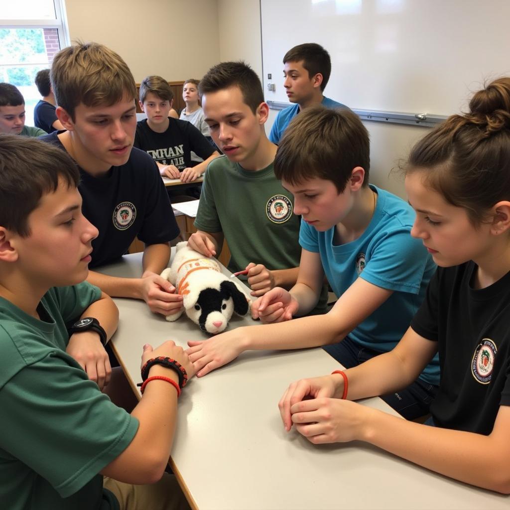 Teenagers Learning Animal First Aid at Summer Camp