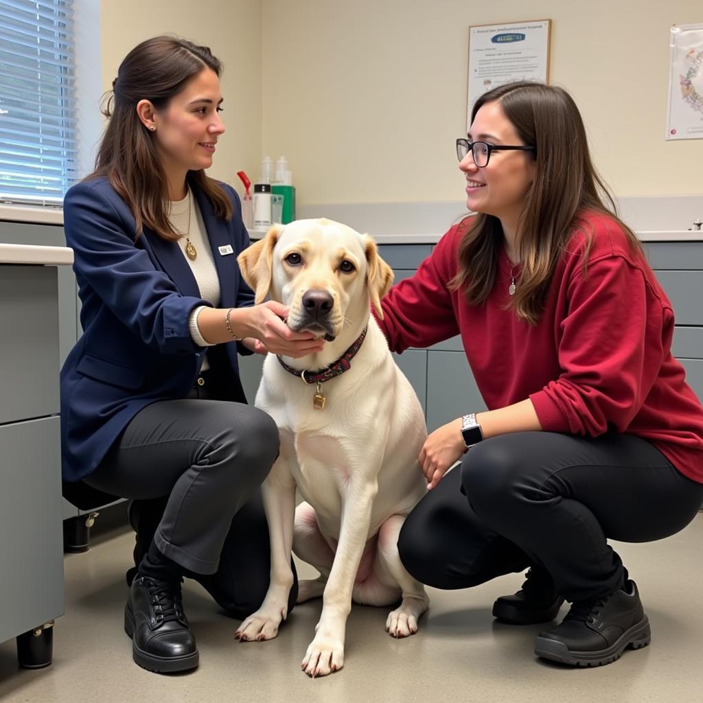 The Tri County Humane Society MN adoption process is designed to ensure a positive experience for both the adopter and the animal.