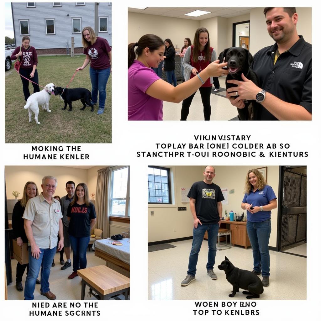 Volunteers at Tupelo MS Humane Society making a difference