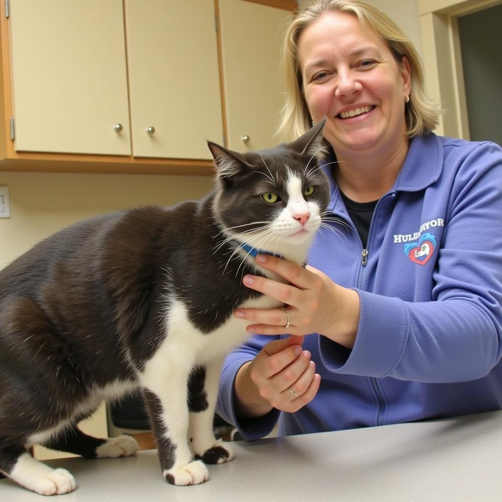 Volunteering at Laconia Humane Society