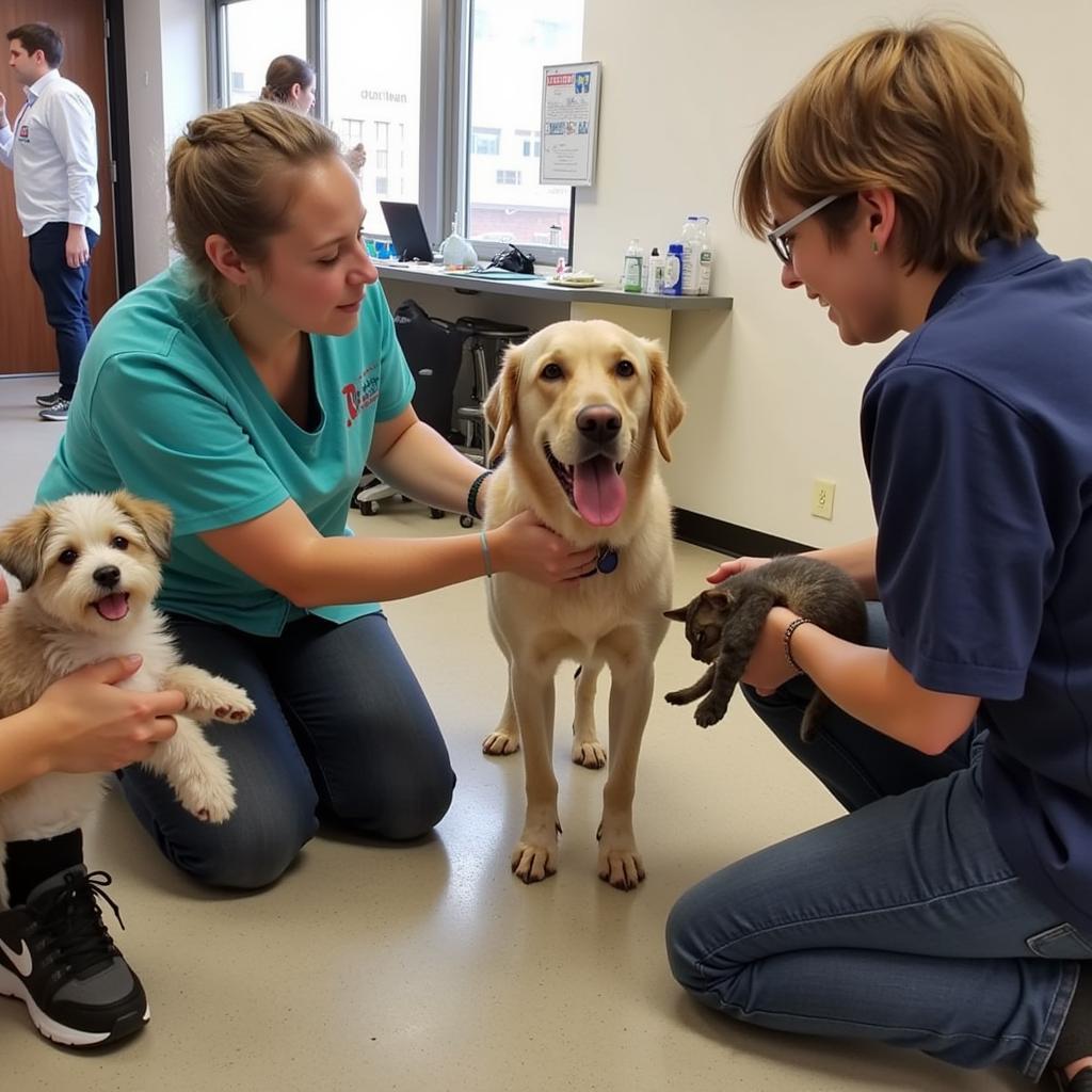 Volunteering at the Lakes Area Humane Society