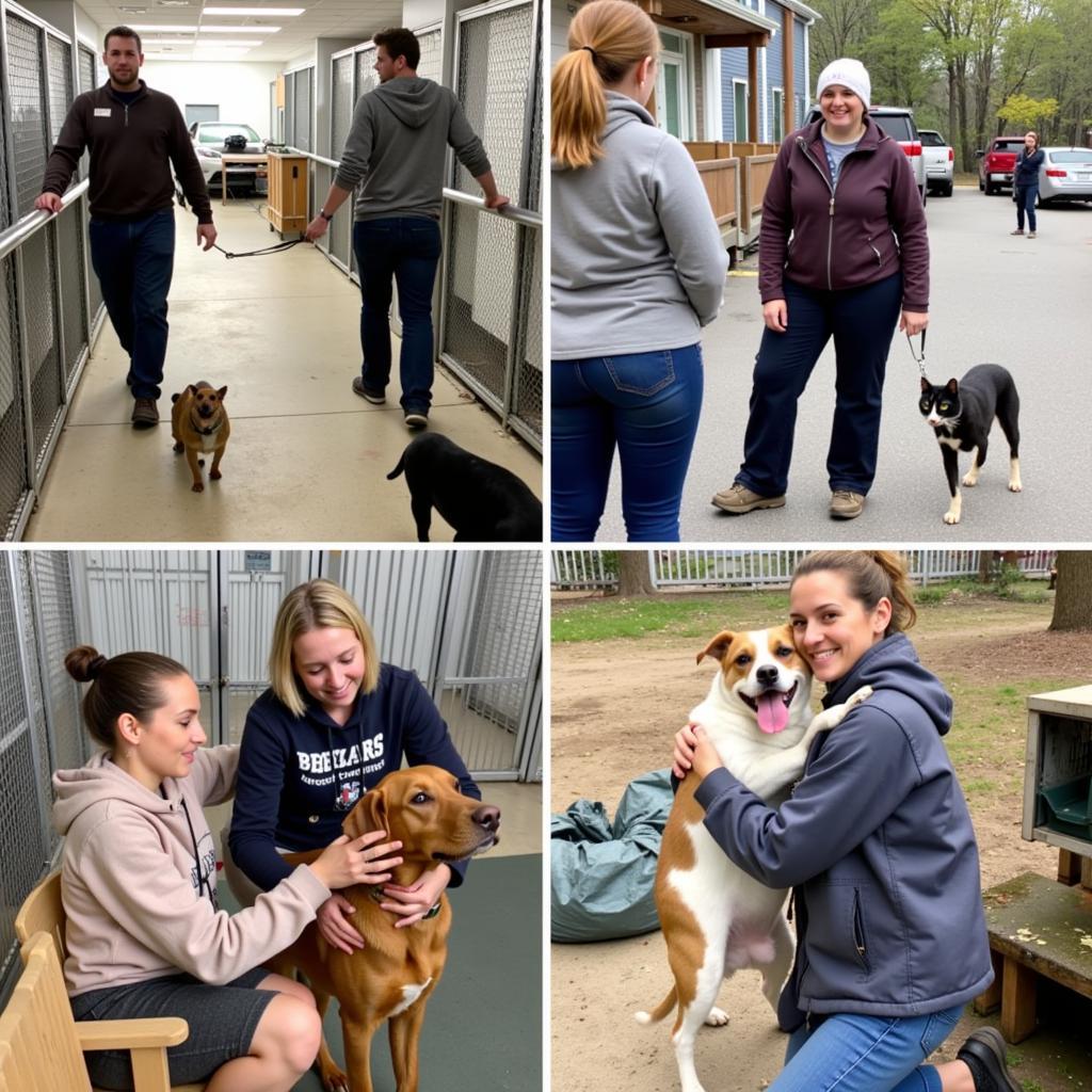 Volunteering at the Brown County Humane Society