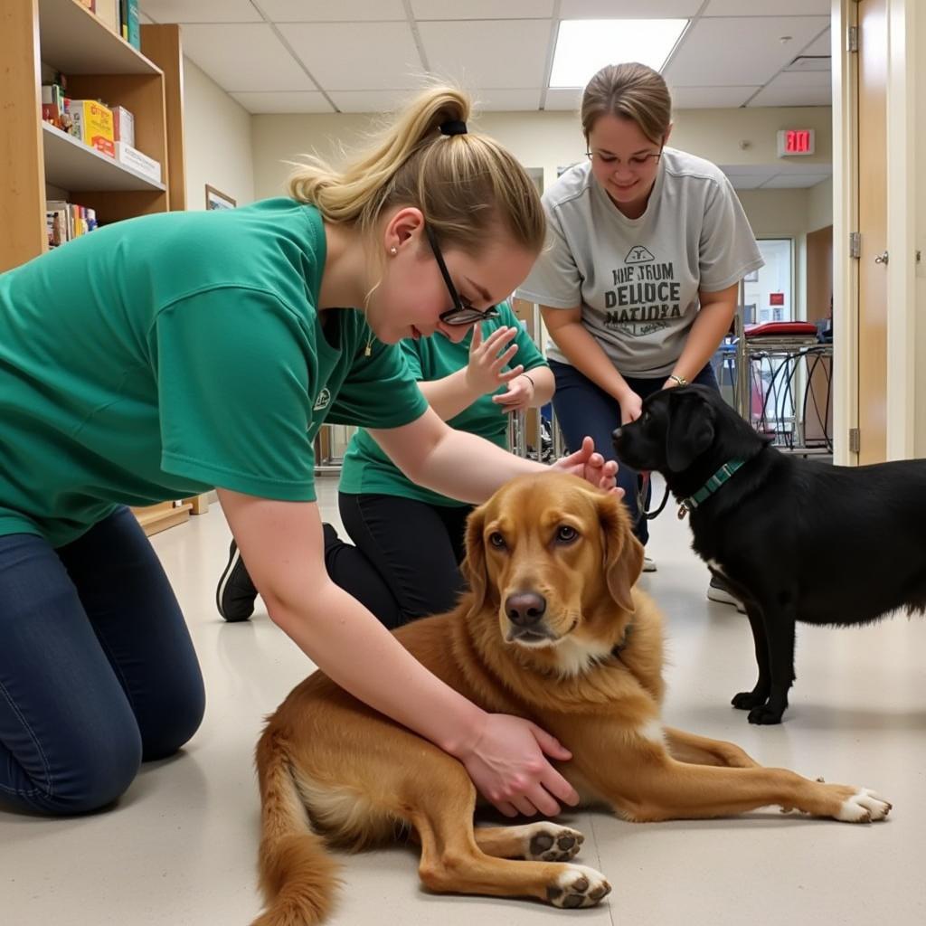 Volunteers at the Quincy Humane Society