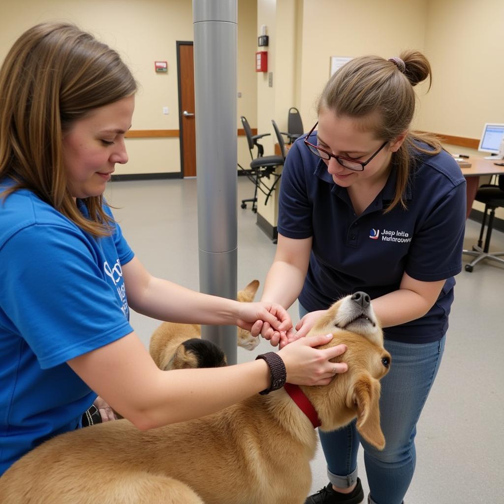 Volunteers Caring for Animals at Jasper Humane Society