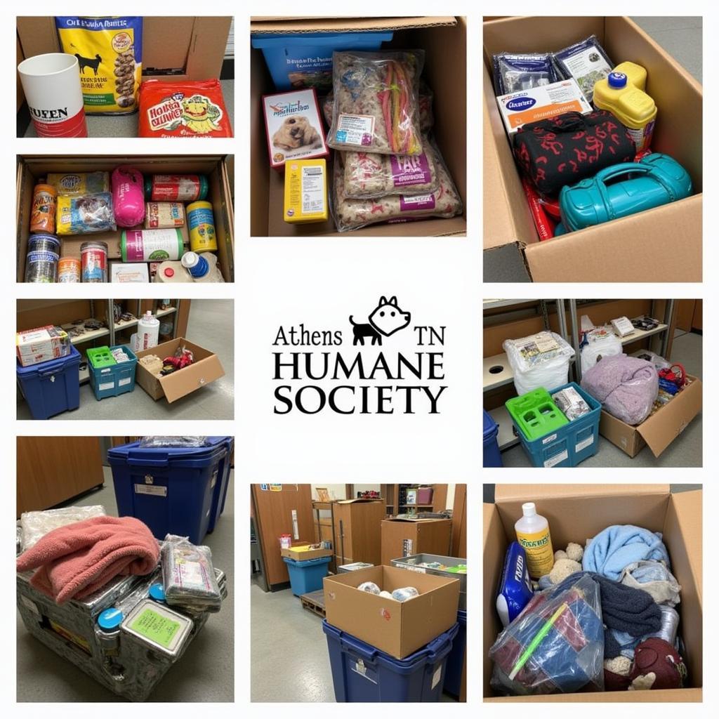 Donations being received and organized at the Athens TN Humane Society.