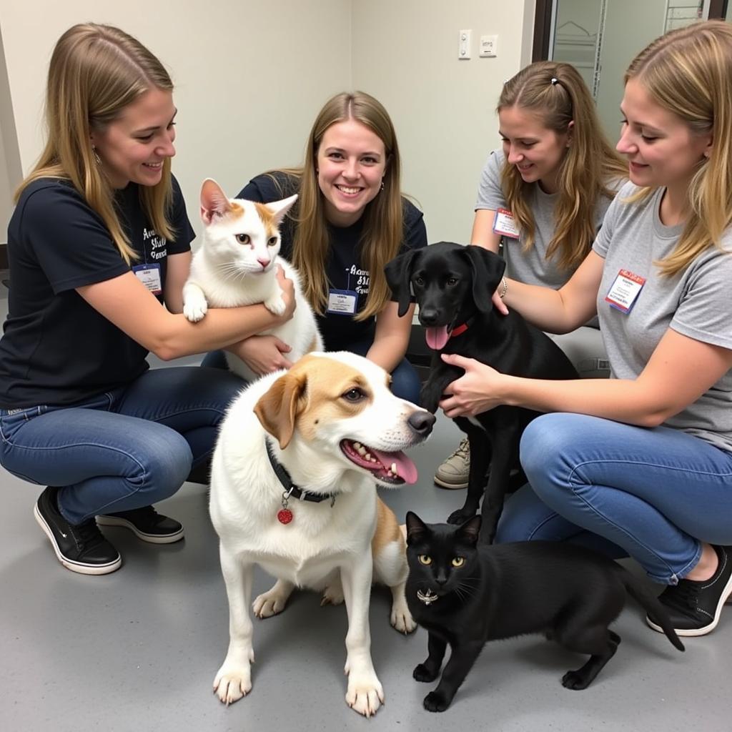 Volunteering at Atlanta Humane Society Howell Mill