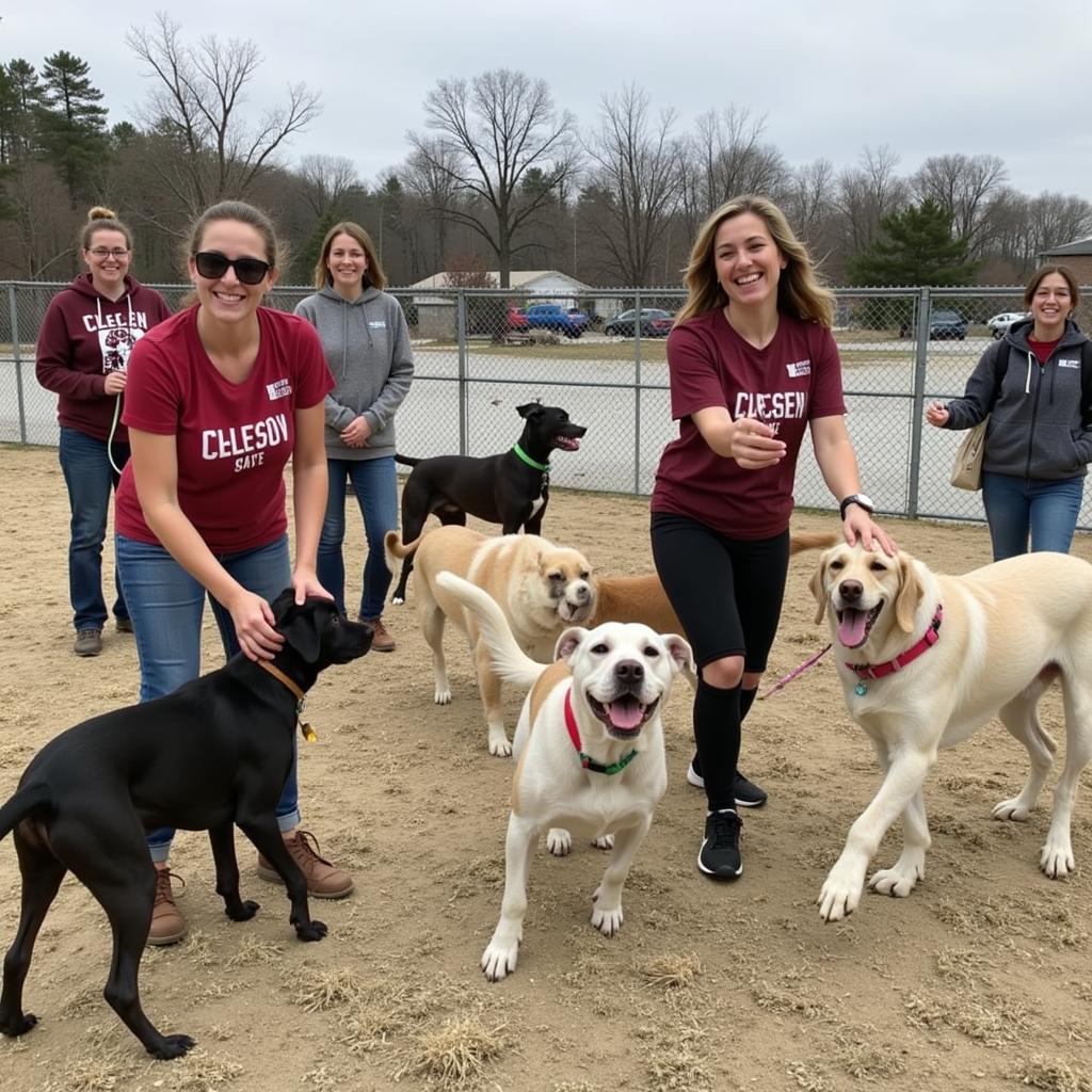 Volunteers at the Capital Area Humane Society