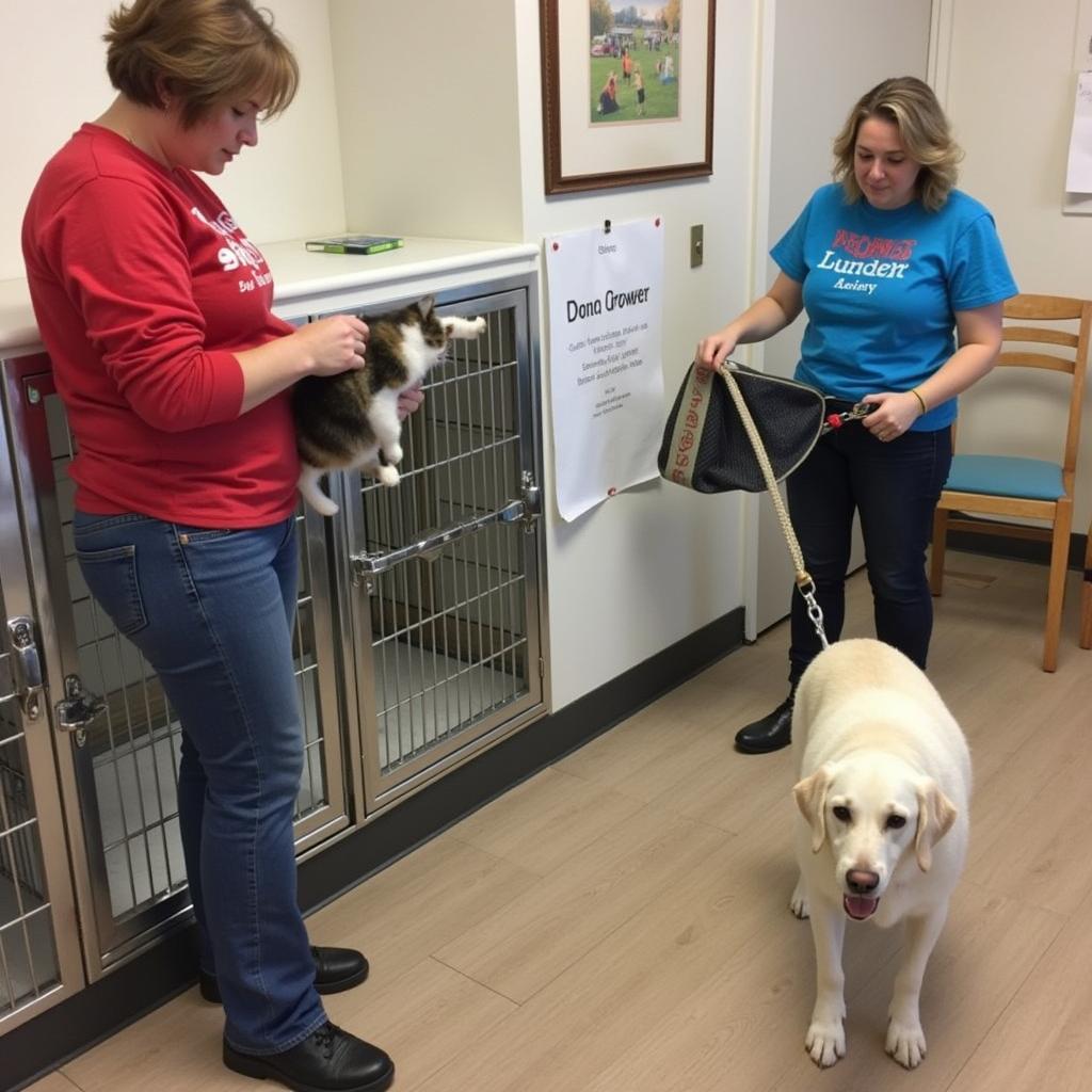 Volunteers at Chittenden Humane Society