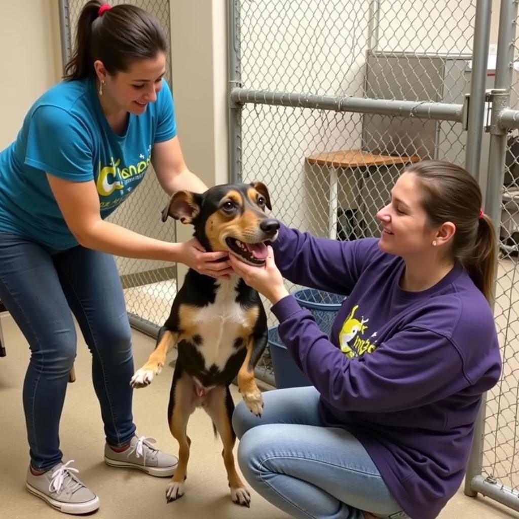 Cullman Humane Society Volunteers